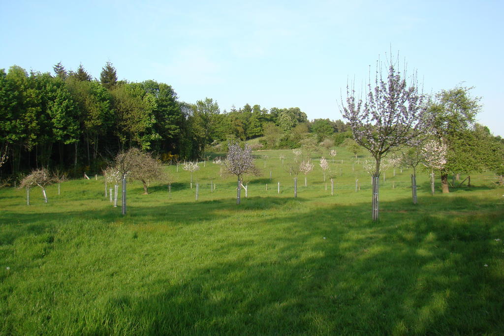 Gite De La Cour Campandré-Valcongrain Quarto foto